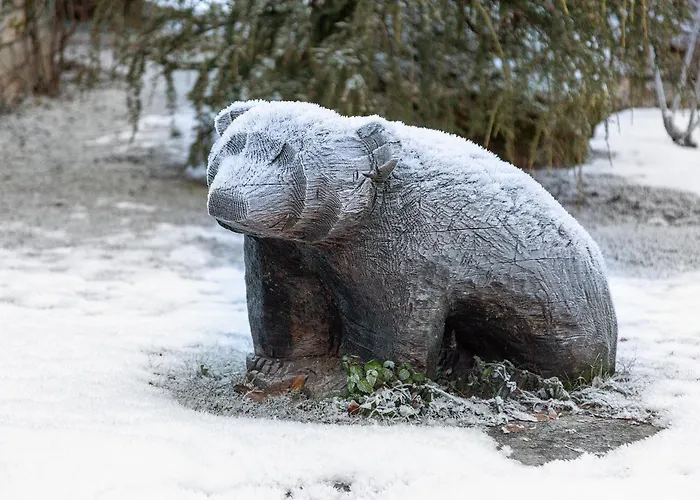 Orserose 7 I Masenin